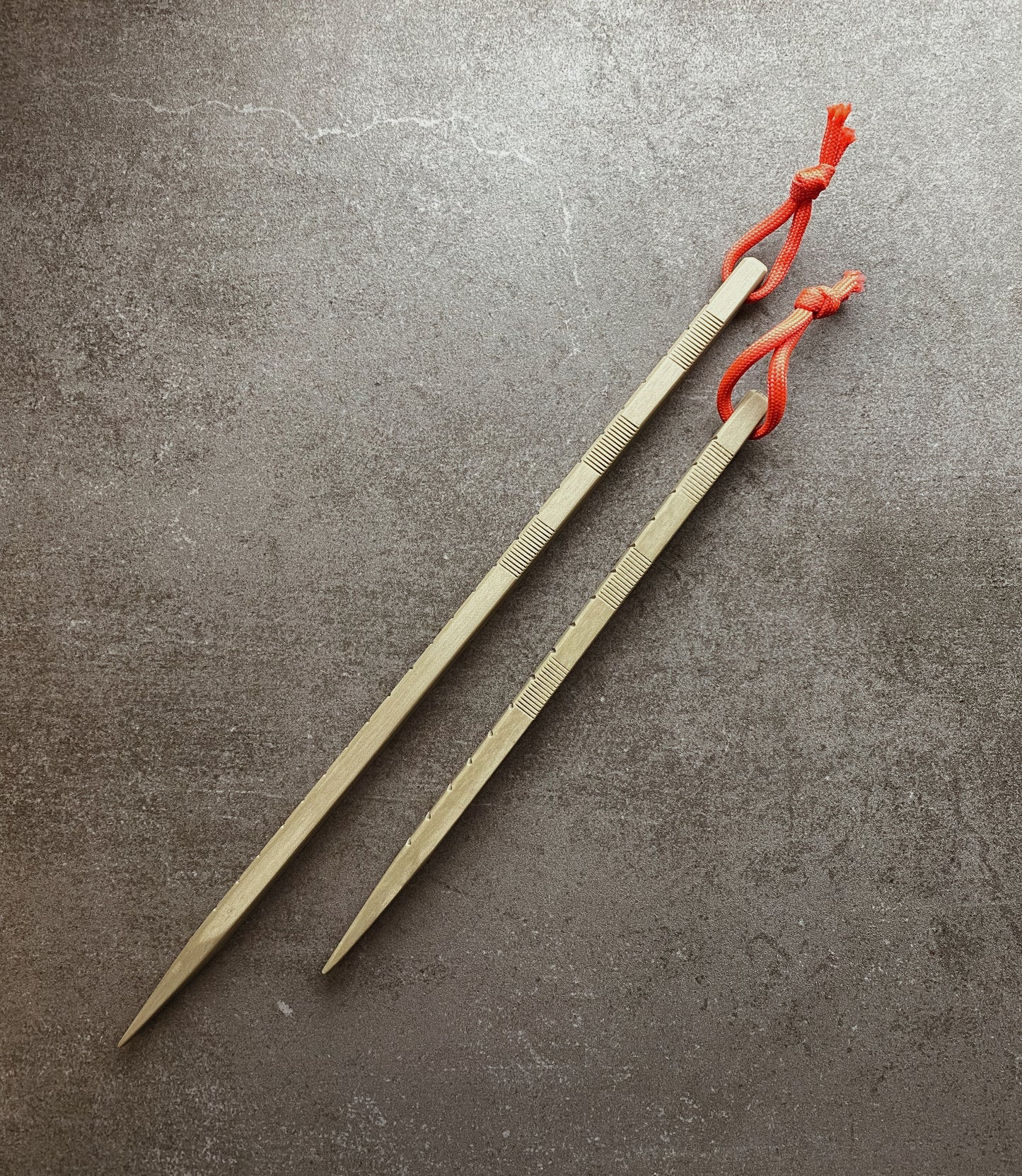 EHR mine prodder set